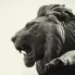 Animal Statue Production
